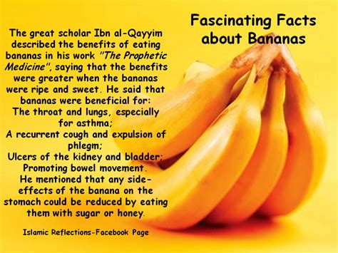 Banana Sayings Quotes. QuotesGram