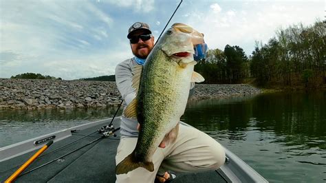 Swimbaits — Tactical Bassin' - Bass Fishing Blog