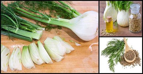 Impressive Health Benefits Of Fennel | Dr Farrah MD