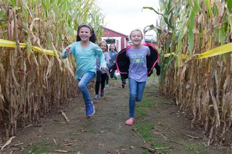 Aw Shucks! The Best DC-Area Corn Mazes to Get Lost In | Corn maze, Corn, Maze