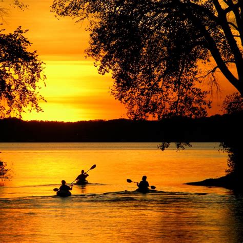 Fun Tours To Do After Covid-19 | Sunset Kayaking in Florida