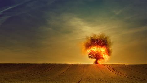 Tree On Fire Wallpaper, HD Artist 4K Wallpapers, Images and Background - Wallpapers Den