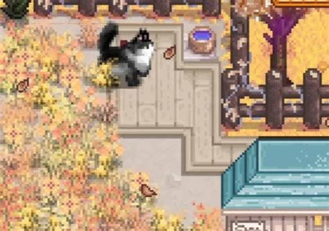 Oversized cat Mod | Stardew Valley Mod Download Free