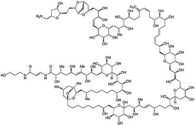 Palytoxin - American Chemical Society