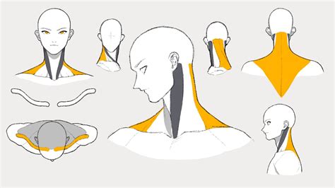 How To Draw Anime Neck And Shoulders