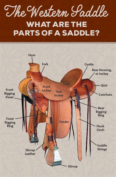 Parts Of Horse Saddle