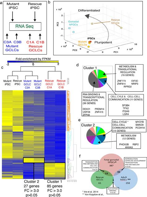 Global gene expression analysis of GCLCs by RNA sequencing and... | Download Scientific Diagram