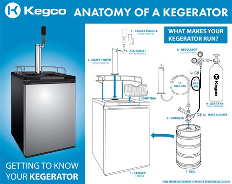 The Anatomy Of A Kegerator - How Does A Kegerator Work ...