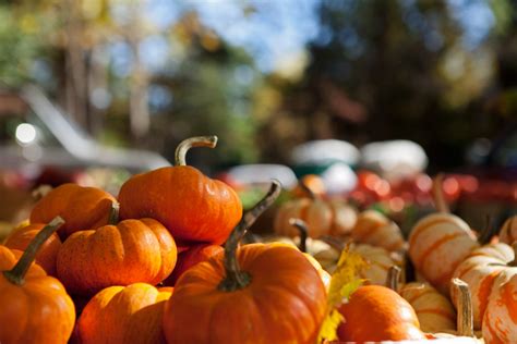 20 Fall Harvest Festivals Across America - Fall Travel Ideas