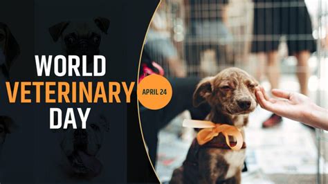 World Veterinary Day 2021 Theme, Quotes, Images, History, Significance And More - EBNW Story