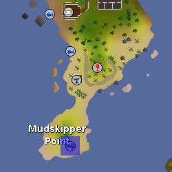 Image - Fairy ring code AIQ.png | Old School RuneScape Wiki | FANDOM powered by Wikia