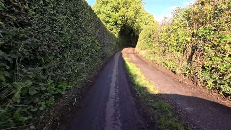 Tranquil Forest Pathway in the Heart of Nature 32192819 Stock Video at ...