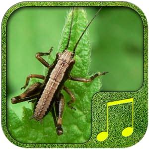 Amazon.com: Cricket sounds: Appstore for Android