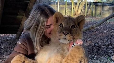 Heartwarming video shows woman cuddling a lion cub she helped raise