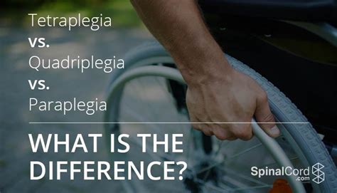 What is Tetraplegia, Quadriplegia and Paraplegia?