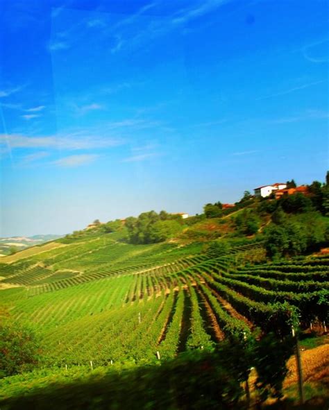 Asti is a Technicolor Dream. - Italian Wine Geek