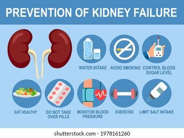 3,405 Prevention Kidney Disease Images, Stock Photos & Vectors ...