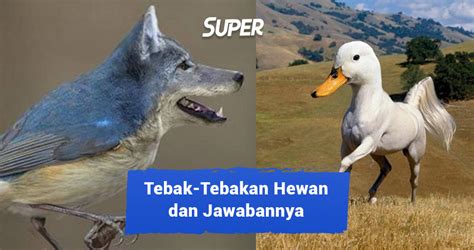 60 Tebak-Tebakan Hewan & Jawabannya yang Bikin Ngakak