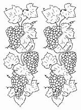 Grapes Coloring Pages Printable For Free Download sketch template