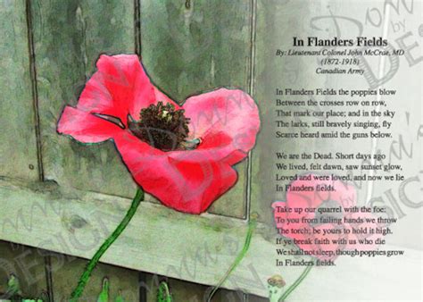 Print of Poem in Flanders Fields 5x7 Inches - Etsy