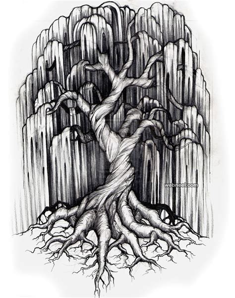 30 Beautiful Tree Drawings and creative Art Ideas from top artists