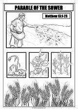 Parable Of The Sower Coloring Sheet  Pages sketch template