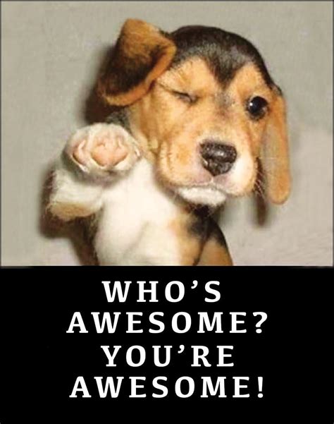 Discovering The Essence Of Awesomeness: Who's Awesome? You're Awesome!