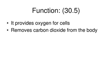 Respiratory System In Class Notes:. - ppt download