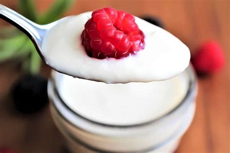 Soy Yogurt – The Secret to Making the Best Vegan Yogurt! - The Hidden ...