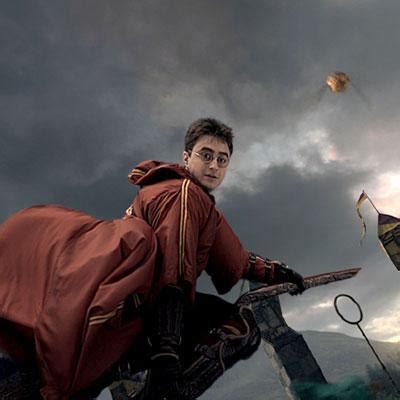 Positions in Quidditch Quiz