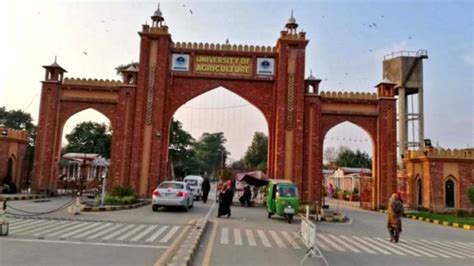 University of Agriculture Faisalabad approves Rs7.68 bn budget – Faisalabad