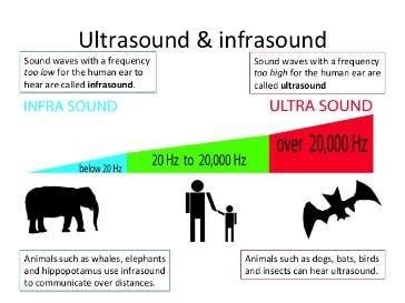 Project14 | Acoustics: Build Projects that Involve Infrasound, Audible Sound, Ultrasound ...