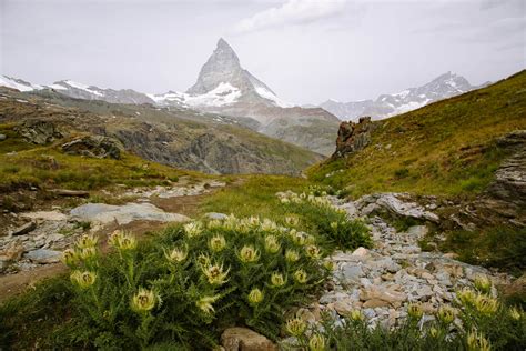 12 Best Hikes In Zermatt (Easy, Medium & Challenging + Map)