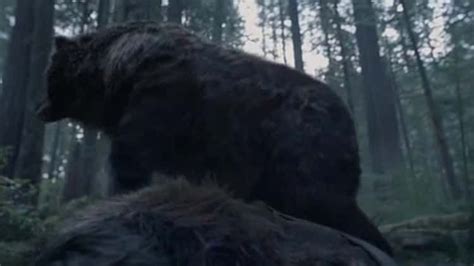 The Revenant Bear Scene | The revenant bear scene, The revenant, Scene