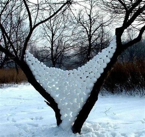 Snowball tree by Andy Goldsworthy | Land art, Snow art, Environmental art