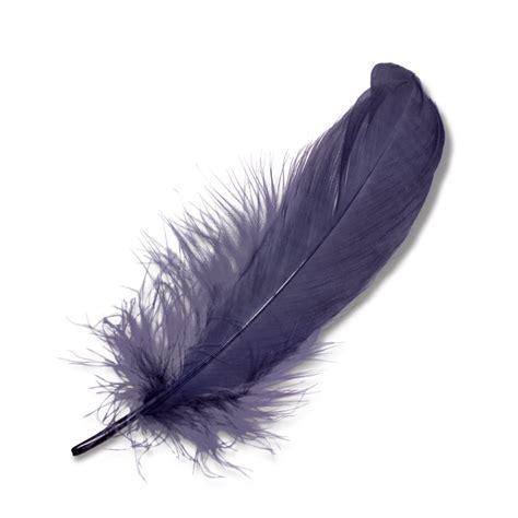 Purple Feather Purple Feather, Feather Dress, Black Feathers, Wide Brim ...