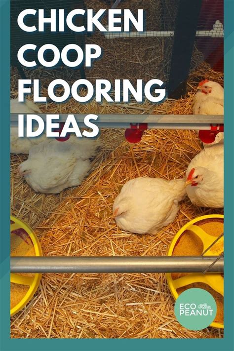 Chicken Coop Flooring: 10 Flooring Ideas (with Pros & Cons) | Backyard ...