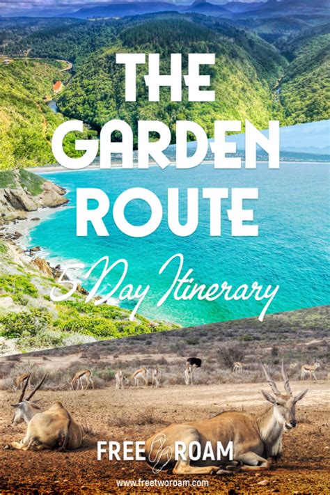 Our 5 Days Itinerary to the Garden Route, South Africa - Free Two Roam