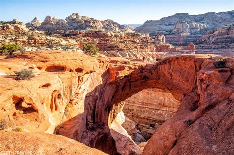 14 Amazing Things to Do in Capitol Reef National Park | Earth Trekkers