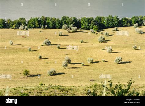 Typical landscape of Moldova Stock Photo - Alamy