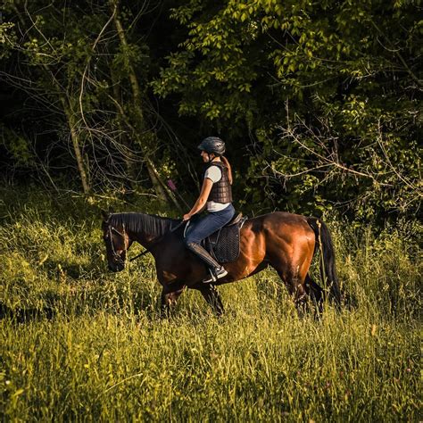 How to Find the Best Riding Crop: A Detailed Overview