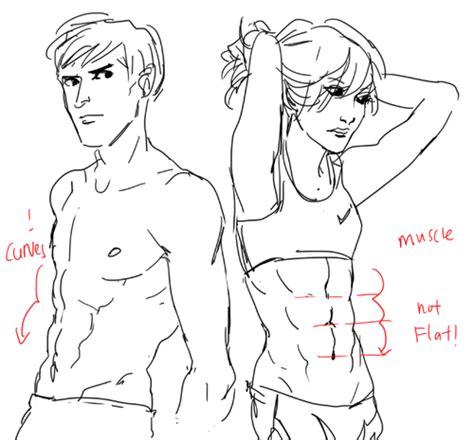 How To Draw Female Abs Anime This drawing isn t the best because i used guide lines