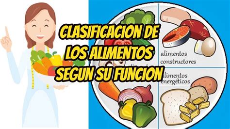 Los alimentos - YouTube