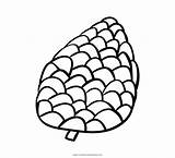 Pine Cone Coloring Pages  Home sketch template