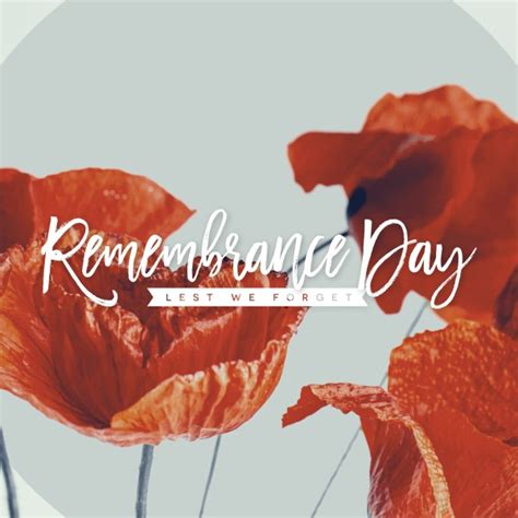 Remembrance Day Poppies Social Media Graphic | Clover Media