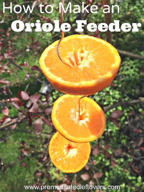 How to Make an Oriole Bird Feeder - Using Oranges and Wire