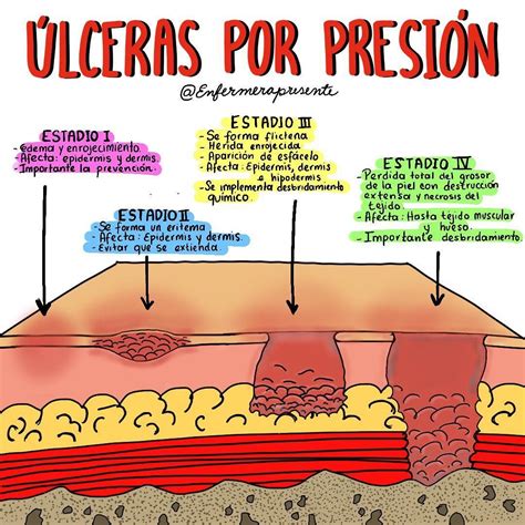 No hay ninguna descripción de la foto disponible. | Farmacologia ...