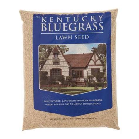 Mountain View Seeds Kentucky Bluegrass Grass Seed - 100623 | Blain's ...