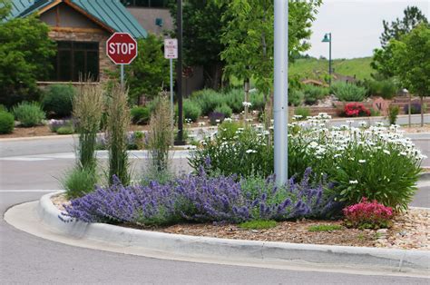 A great variety of color and height to liven up this parking lot island ...