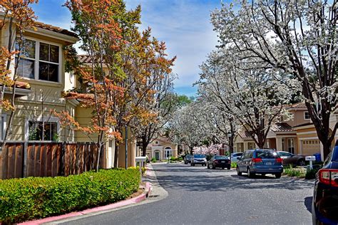 The City of Cupertino - BMR Rental Opportunities — Rise Housing Solutions